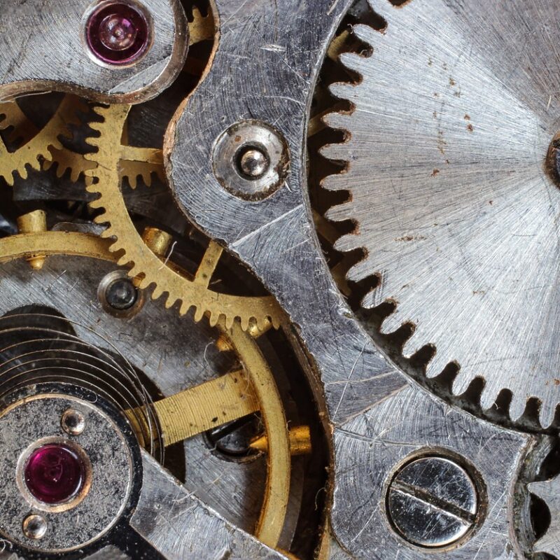 Mechanobiology
