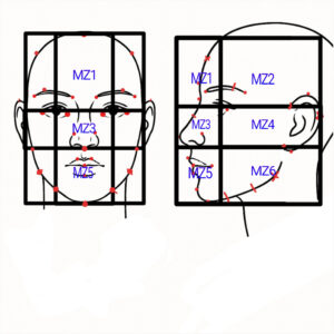 Morphodynamic Craniofacial Analysis